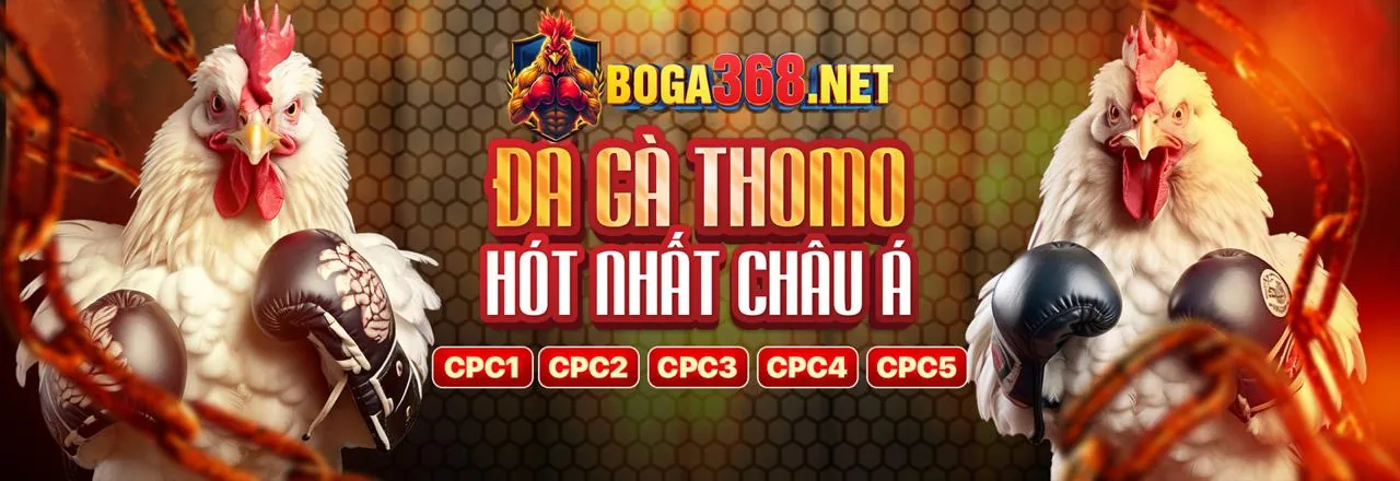 Đá Gà Trực Tuyến k8bet Nhà Cái